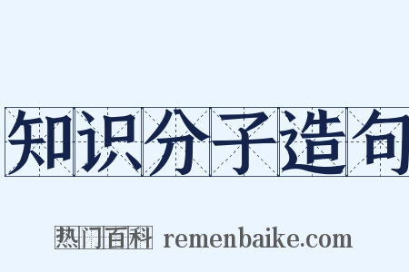 知识分子造句是什么意思的图片